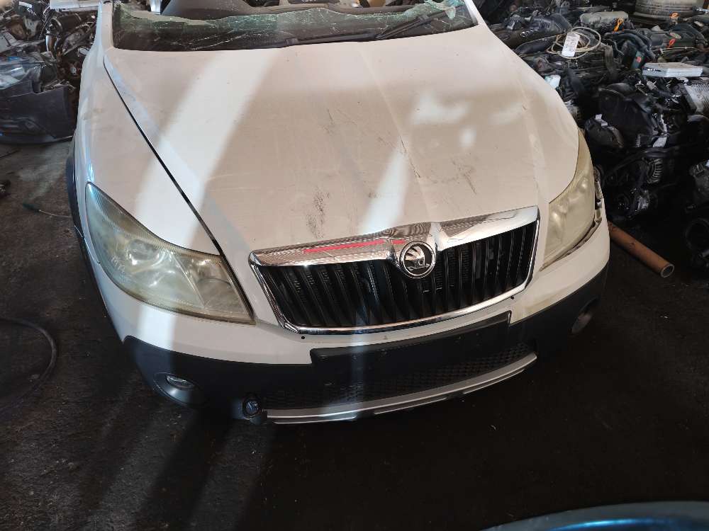 Nose cut + Hood Skoda