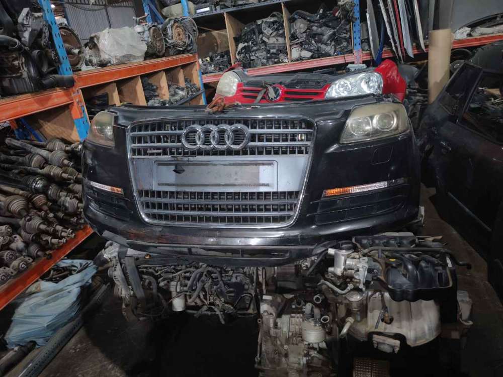 Nose cut Audi