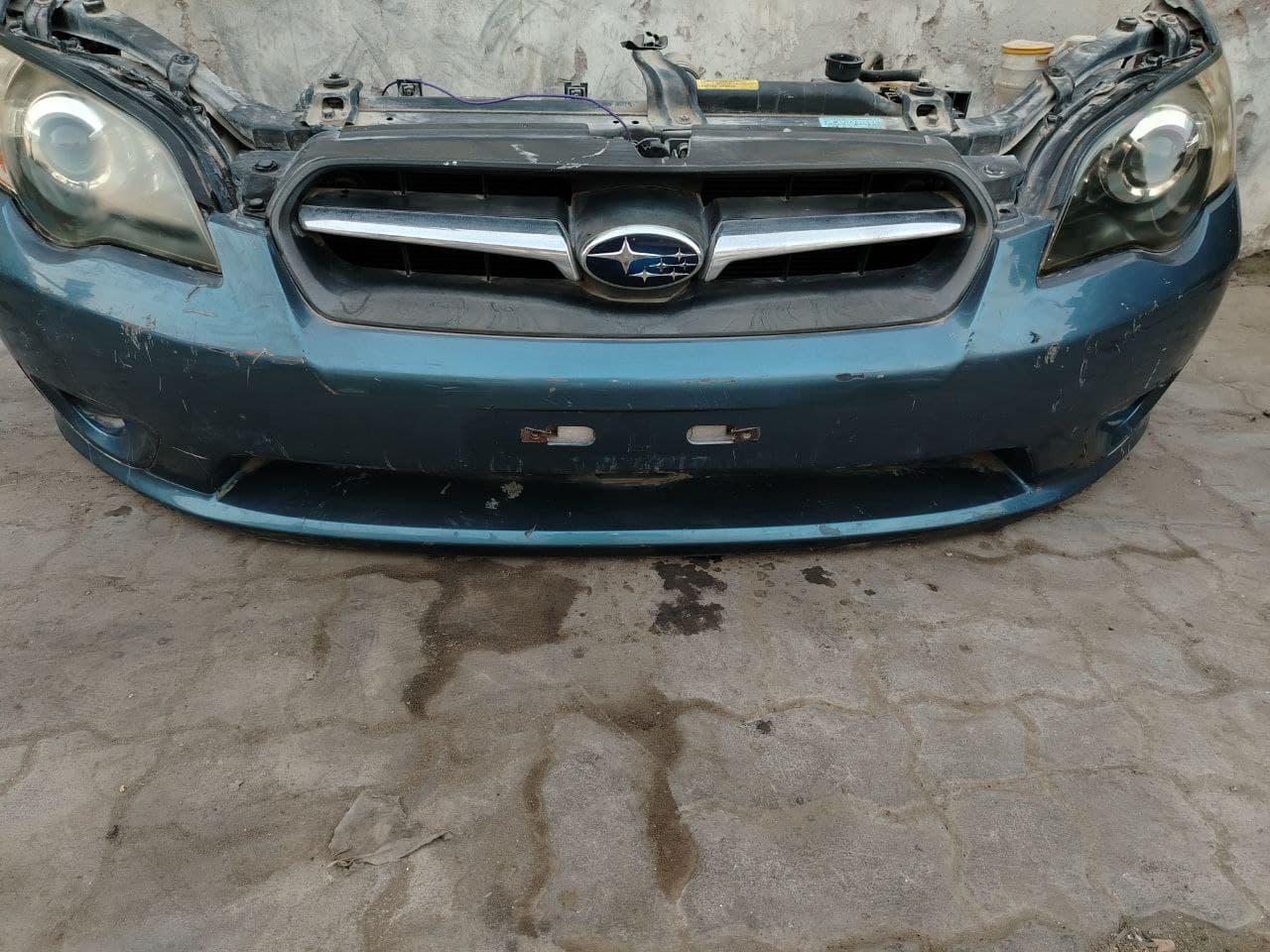 Nose cut Subaru