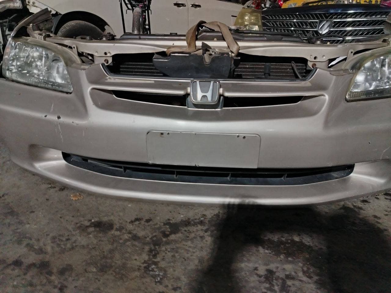 Nose cut Honda Accord