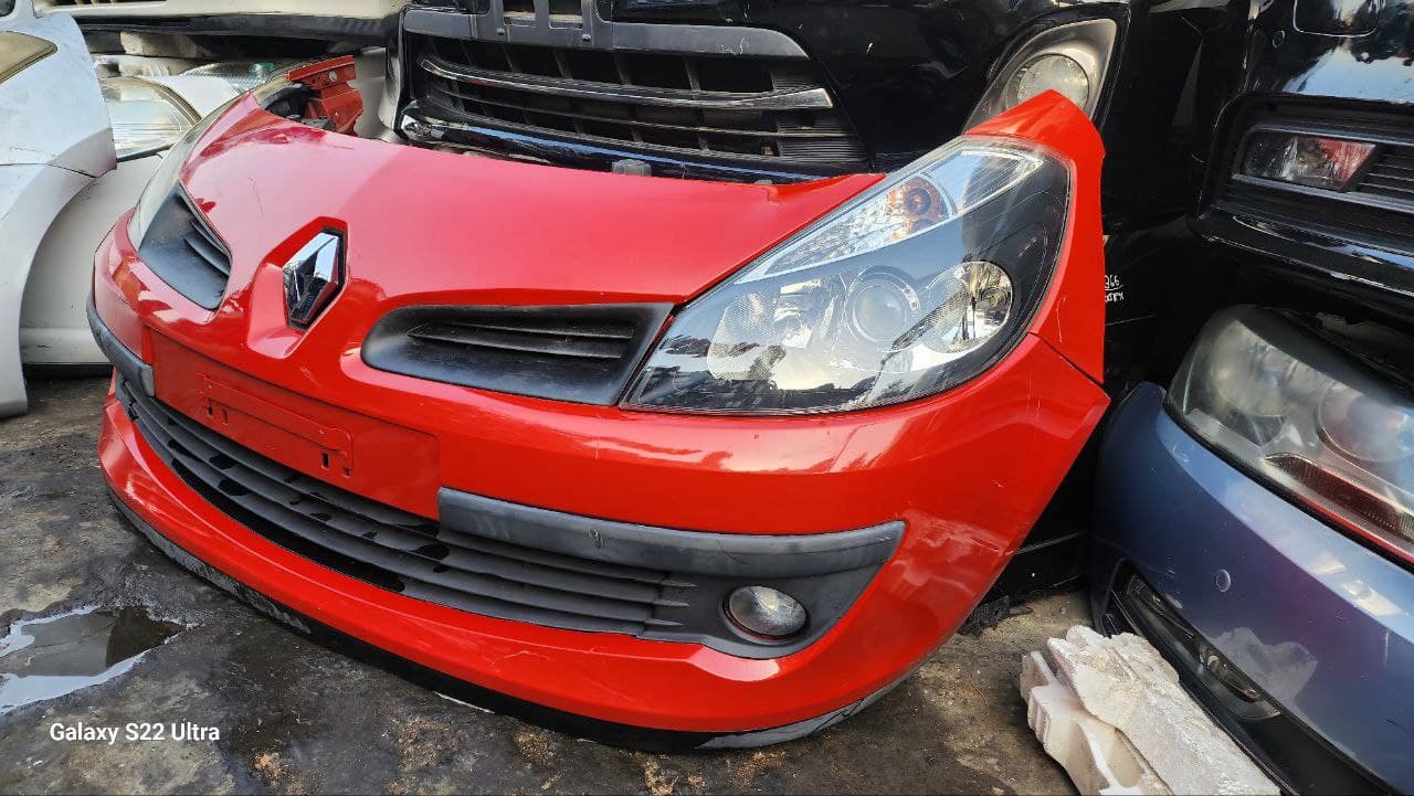 Nose cut Renault Clio