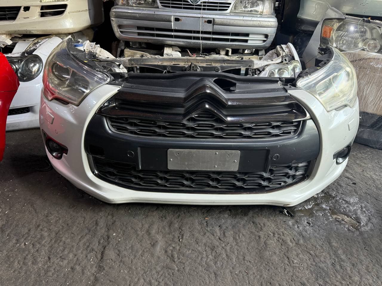 Nose cut Citroen