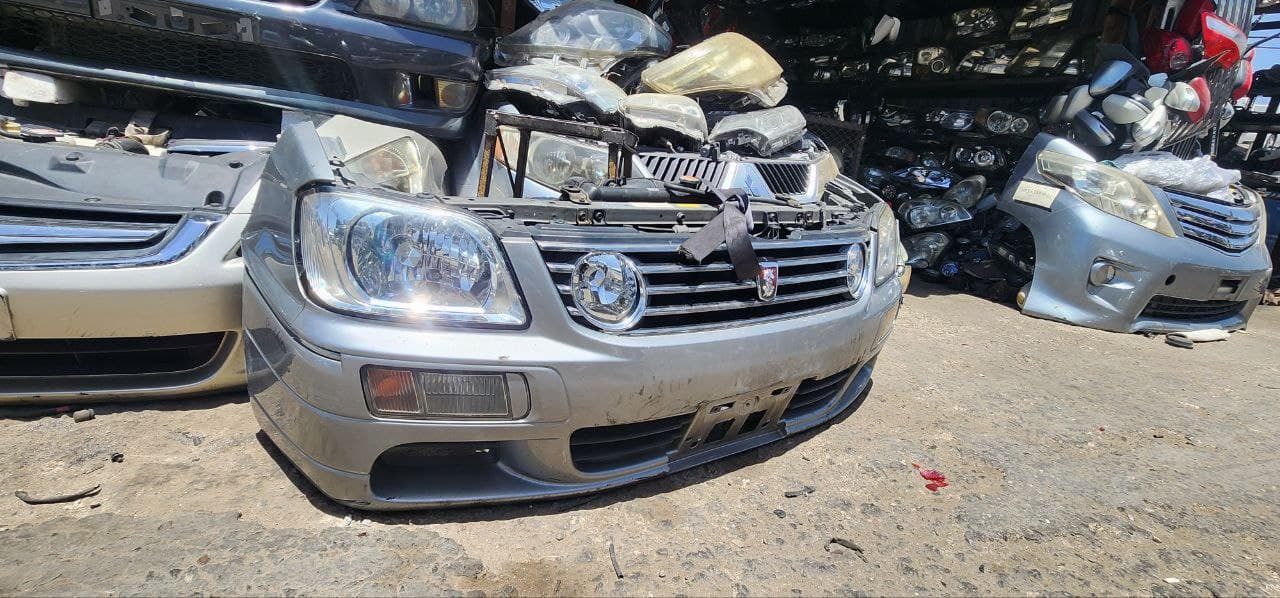 Nose cut Nissan Stagea